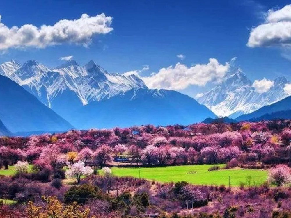 境内有4a级自然景区色季拉国家森林公园,鲁朗林海等景区(点)等.